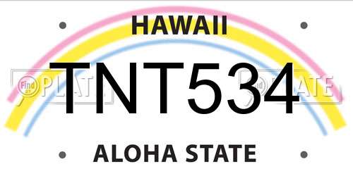 TNT534 Hawaii License Plate