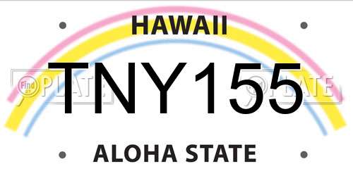 TNY155 Hawaii License Plate