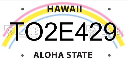 TO2E429 Hawaii License Plate