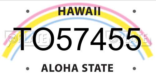 TO57455 Hawaii License Plate
