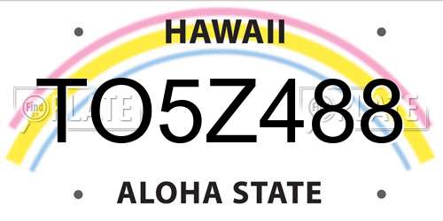TO5Z488 Hawaii License Plate