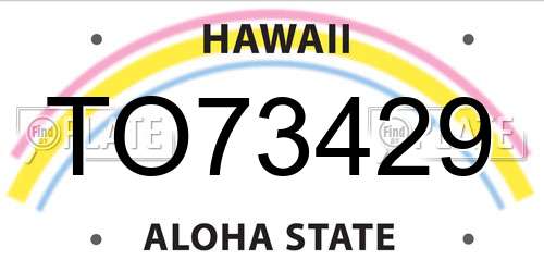 TO73429 Hawaii License Plate