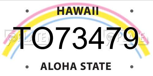 TO73479 Hawaii License Plate