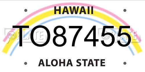 TO87455 Hawaii License Plate