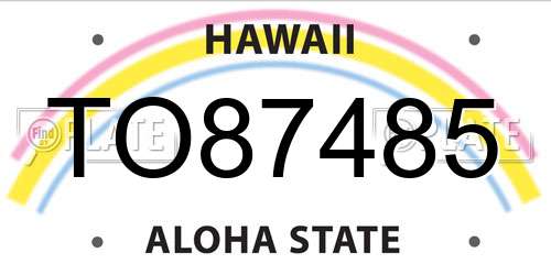 TO87485 Hawaii License Plate