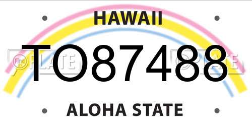 TO87488 Hawaii License Plate