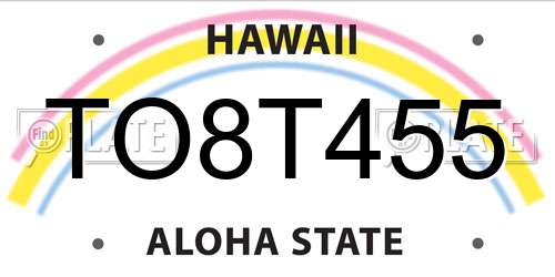 TO8T455 Hawaii License Plate