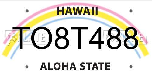 TO8T488 Hawaii License Plate