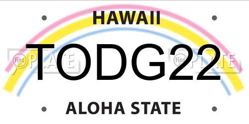 TODG22 Hawaii License Plate