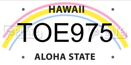 TOE975 Hawaii License Plate