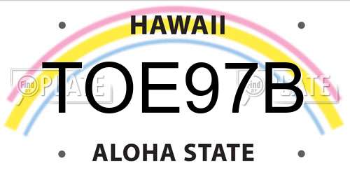 TOE97B Hawaii License Plate