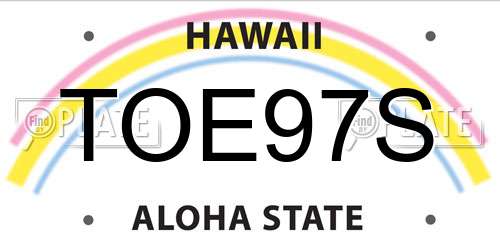 TOE97S Hawaii License Plate