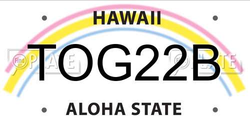 TOG22B Hawaii License Plate