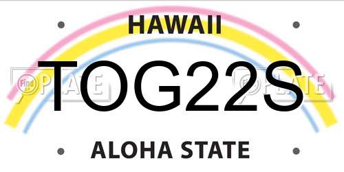 TOG22S Hawaii License Plate