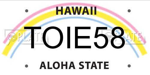 TOIE58 Hawaii License Plate
