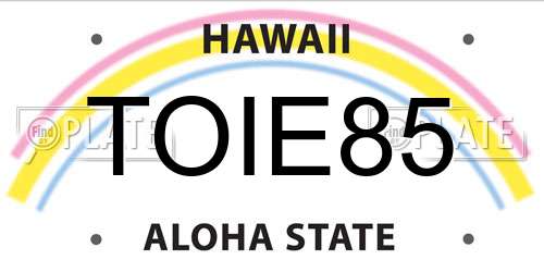 TOIE85 Hawaii License Plate