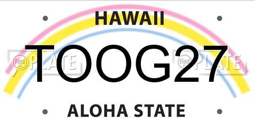 TOOG27 Hawaii License Plate
