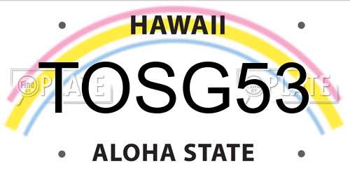 TOSG53 Hawaii License Plate