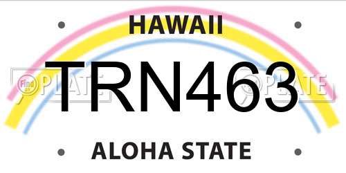 TRN463 Hawaii License Plate