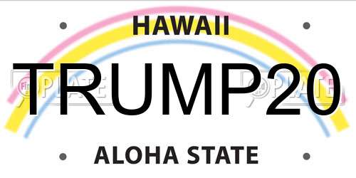 TRUMP20 Hawaii License Plate