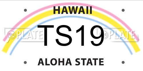TS19 Hawaii License Plate