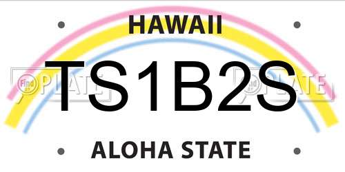 TS1B2S Hawaii License Plate
