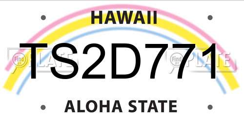 TS2D771 Hawaii License Plate