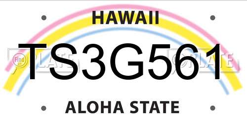 TS3G561 Hawaii License Plate