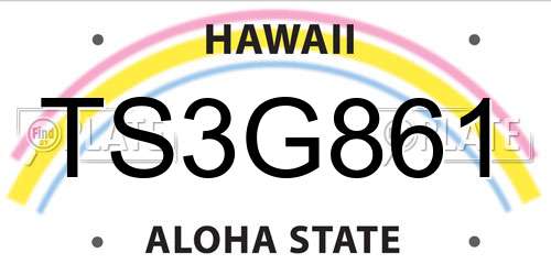 TS3G861 Hawaii License Plate