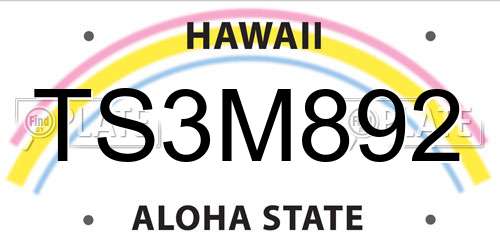 TS3M892 Hawaii License Plate