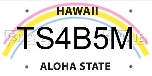 TS4B5M Hawaii License Plate