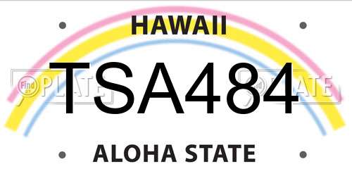 TSA484 Hawaii License Plate