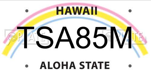 TSA85M Hawaii License Plate