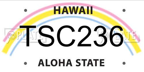 TSC236 Hawaii License Plate