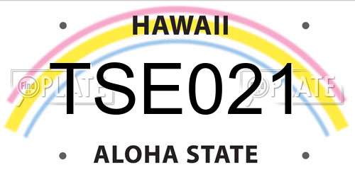 TSE021 Hawaii License Plate