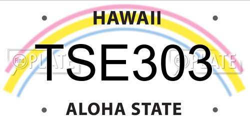 TSE303 Hawaii License Plate