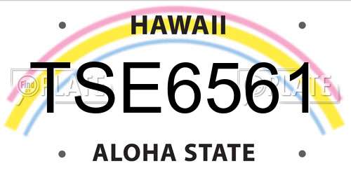 TSE6561 Hawaii License Plate