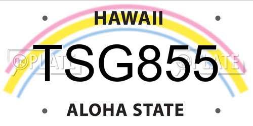 TSG855 Hawaii License Plate