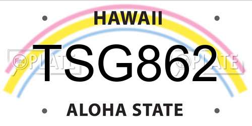TSG862 Hawaii License Plate
