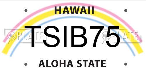 TSIB75 Hawaii License Plate