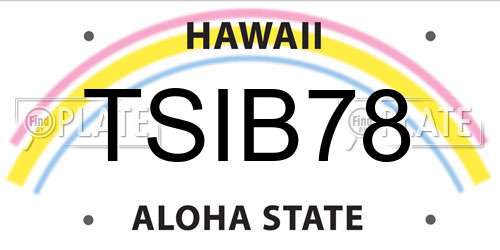 TSIB78 Hawaii License Plate