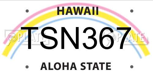TSN367 Hawaii License Plate