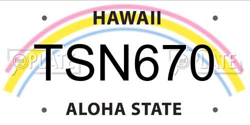 TSN670 Hawaii License Plate