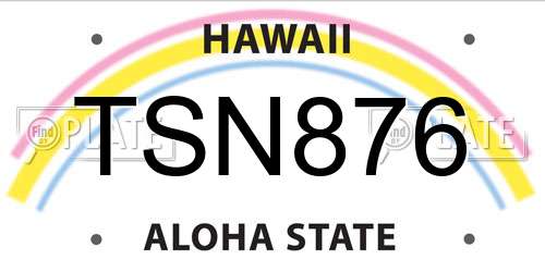 TSN876 Hawaii License Plate