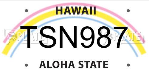 TSN987 Hawaii License Plate