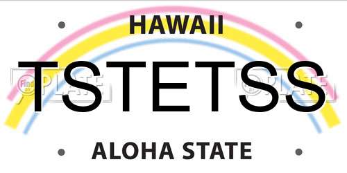 TSTETSS Hawaii License Plate