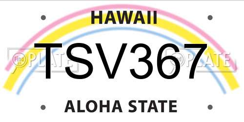 TSV367 Hawaii License Plate