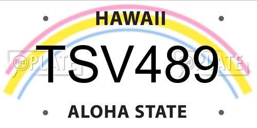 TSV489 Hawaii License Plate