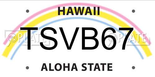 TSVB67 Hawaii License Plate