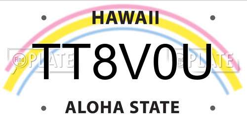TT8V0U Hawaii License Plate